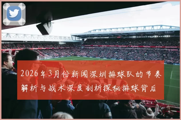 2026年3月份新闻深圳排球队的节奏解析与战术深度剖析探秘排球背后的故事与技巧
