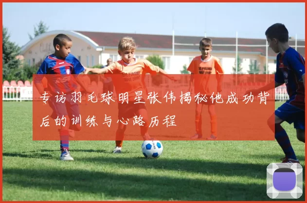 专访羽毛球明星张伟揭秘他成功背后的训练与心路历程