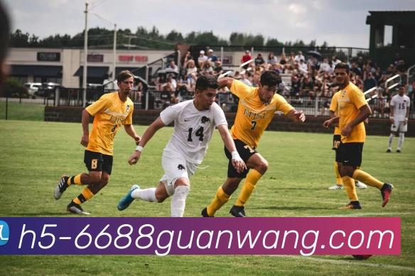 多媒体互动体验