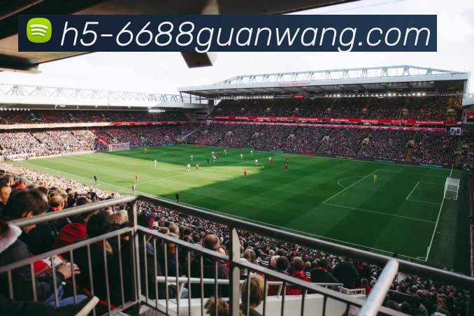 6688官网APP 体育赛事宣传图